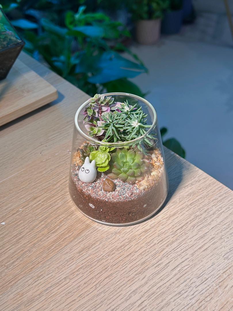 Succulent Terrarium in Fuji Glass