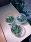Cupcake Pot - Bubble Plant