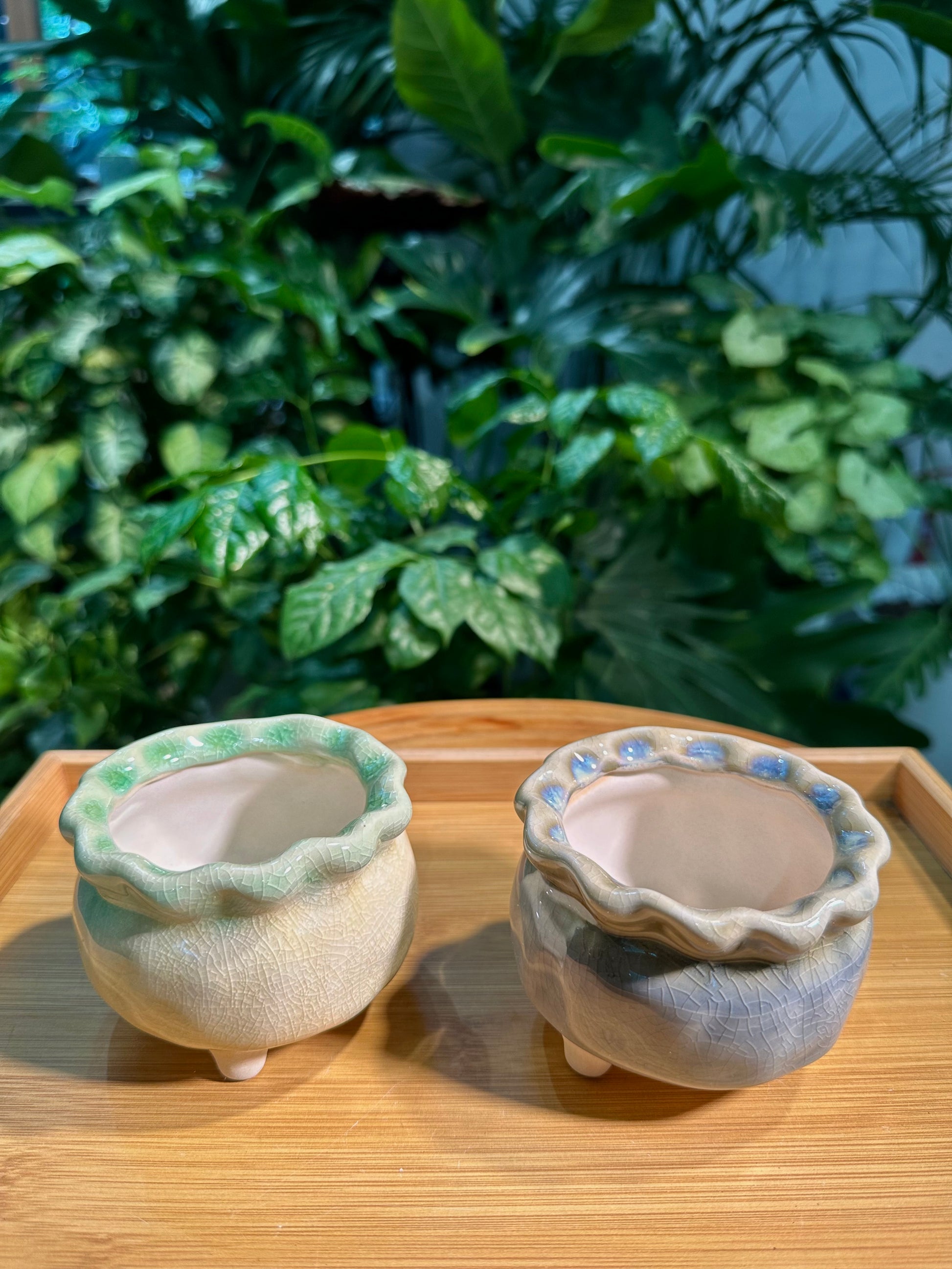 Cod Pot Design Designer Pot