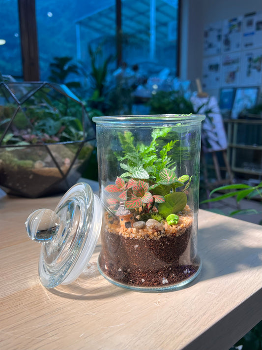 Indoor Plant Terrarium in Glass Jar (L)