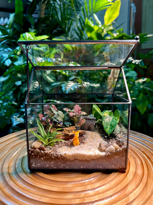 Black Frame Housing Designer Terrarium