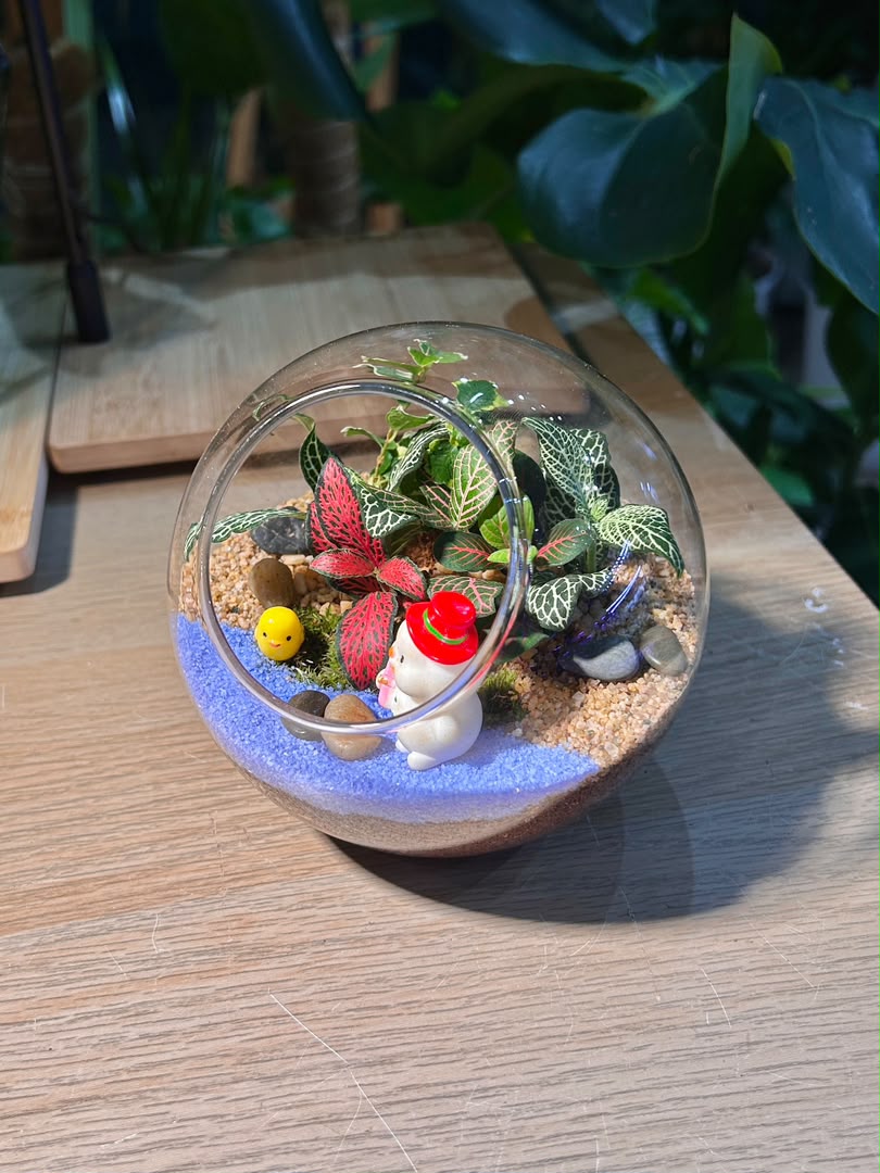 Indoor Plant Arrangement Fittonia & Pumila & Moss (网纹草 & 薜荔 & 苔藓) in Round Glass (L)