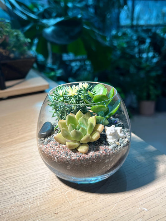 Succulent Terrarium in Crystal Glass