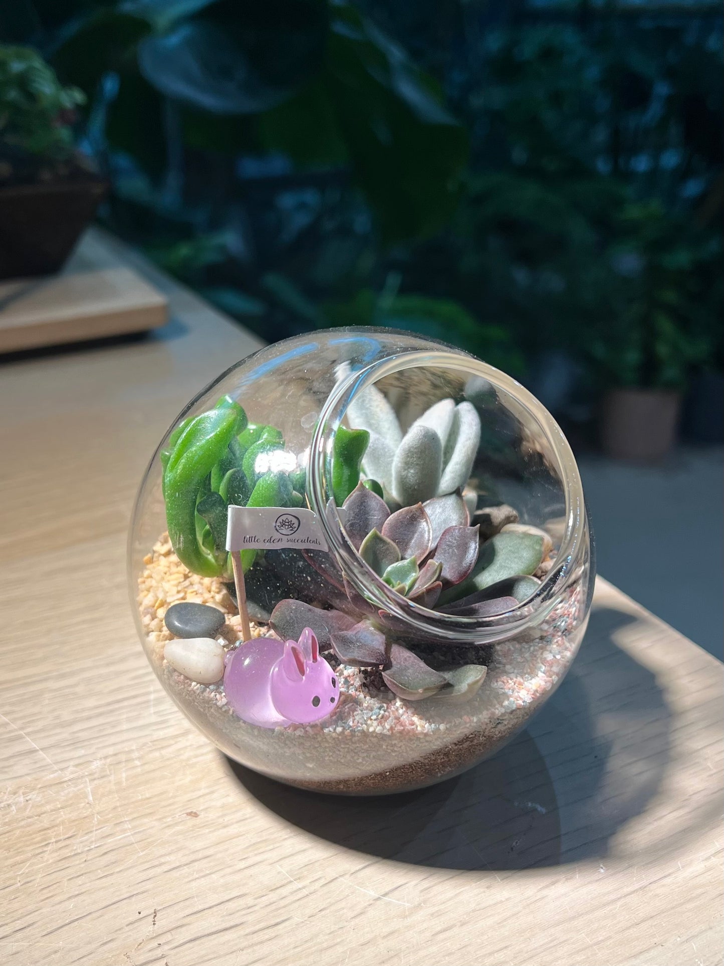 Succulent Terrarium in Round Glass (M)