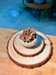 Baby Graptosedum ‘Bronze’ (姬胧月) Succulent in Textured Matte Ceramic Pot