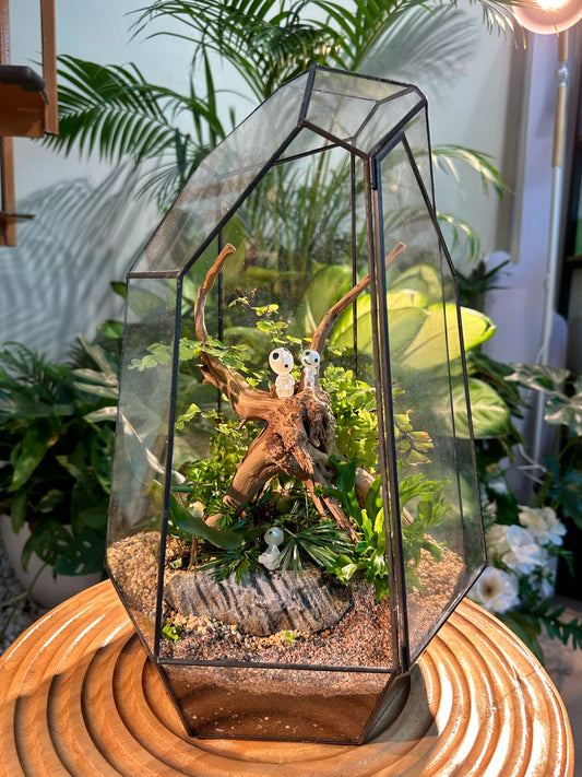 Ferns in Designer Glass Terrarium