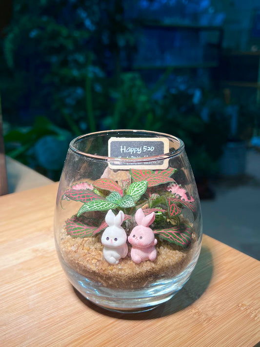Valentine Gift - Fittonia in Crystal Glass Terrarium with Rabbit 🐇 Figurines and Blackboard