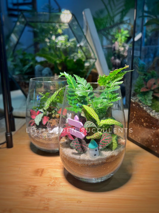 Fittonia & Fern Arrangement in Tall Glass