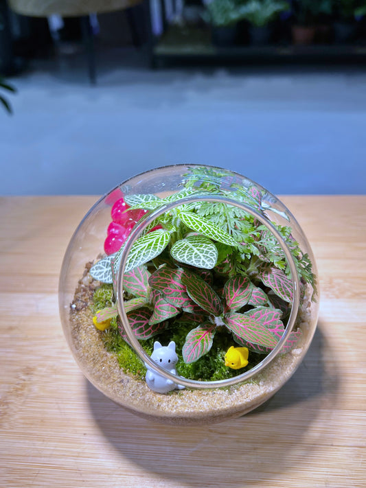 Fittonia and Fern with Moss Arrangement in Round Glass Terrarium (L)