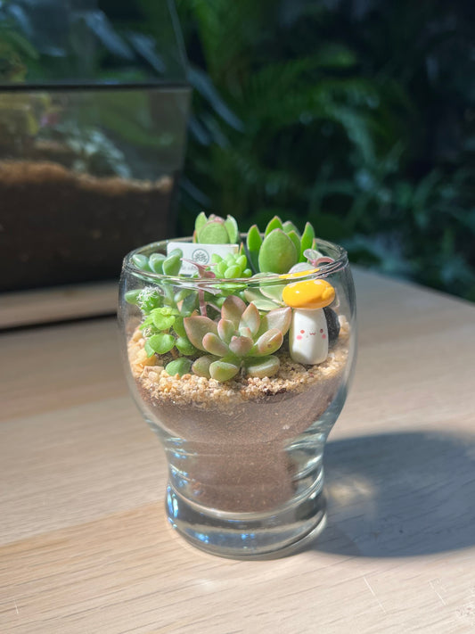 Succulent Arrangement in Mushroom Glass Terrarium