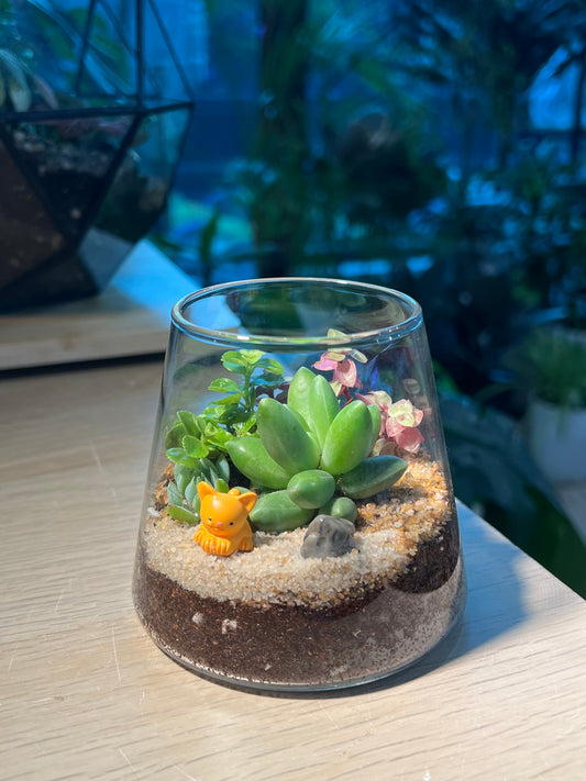 Fuji Glass Succulent Terrarium Workshop
