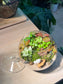 Fittonia, Bubble Plant with Moss (Indoor Plant) Arrangement in Fishbowl with Lid Terarrium