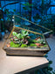 Indoor Plant Terrarium in Polygonal Glass