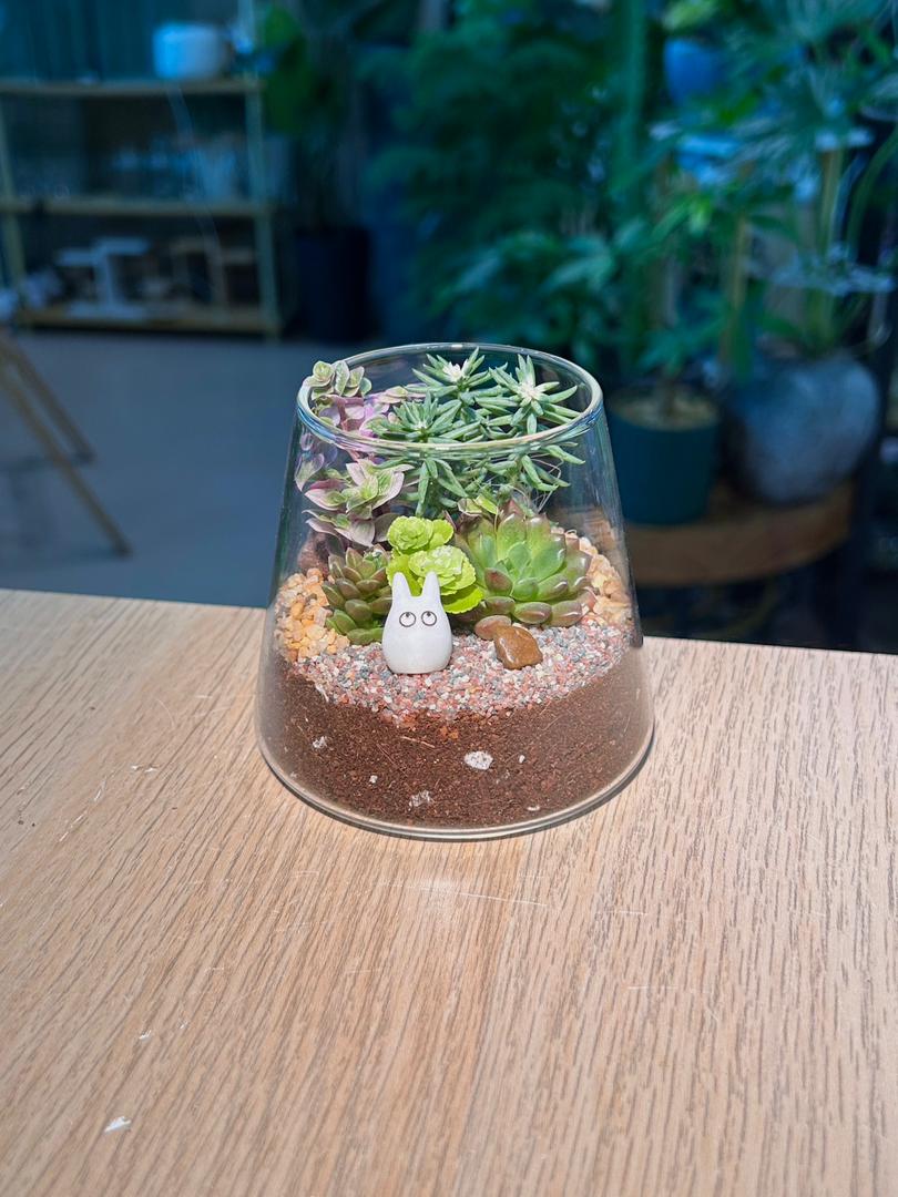 Succulent Terrarium in Fuji Glass