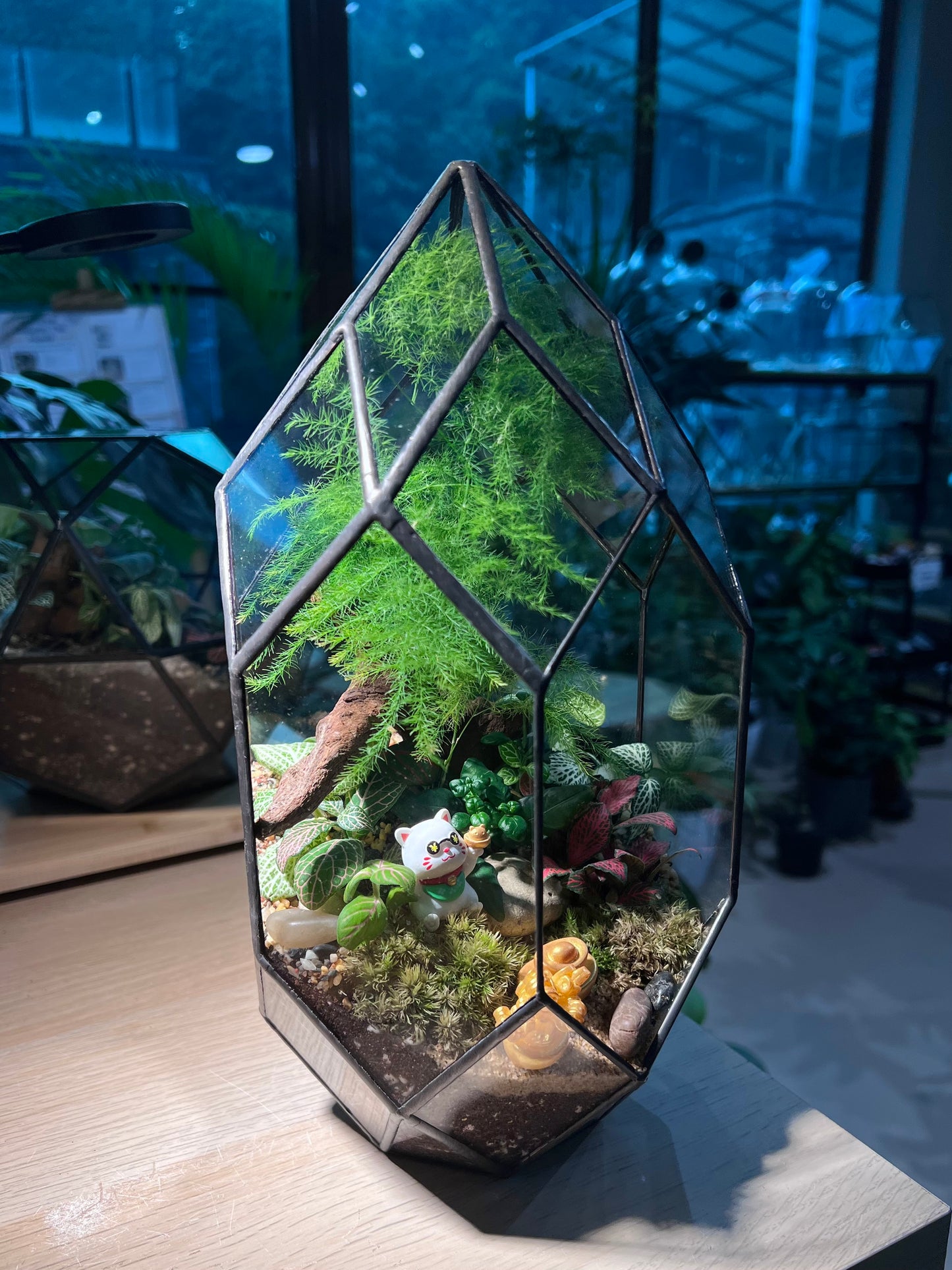 Fittonia, Asparagus Fern with Moss (Indoor Plant) Arrangement in Polygonal Bullet Glass Terrarium