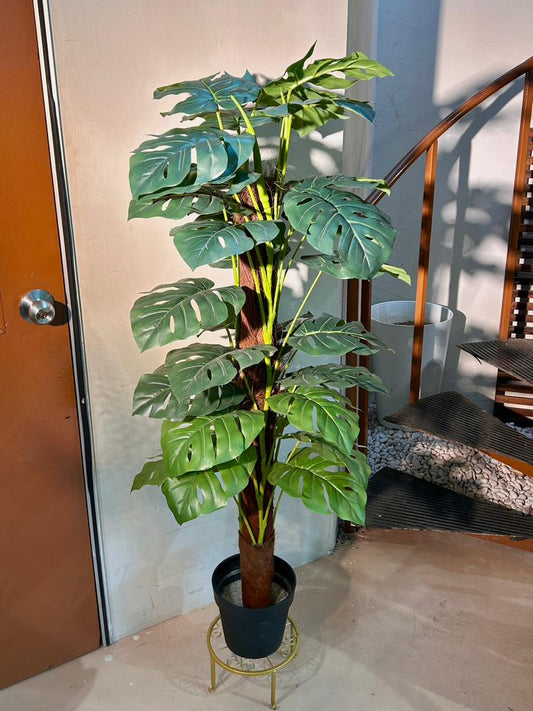 Artificial Monstera Deliciosa (ιΎθη«Ή) in Black Polymer Pot
