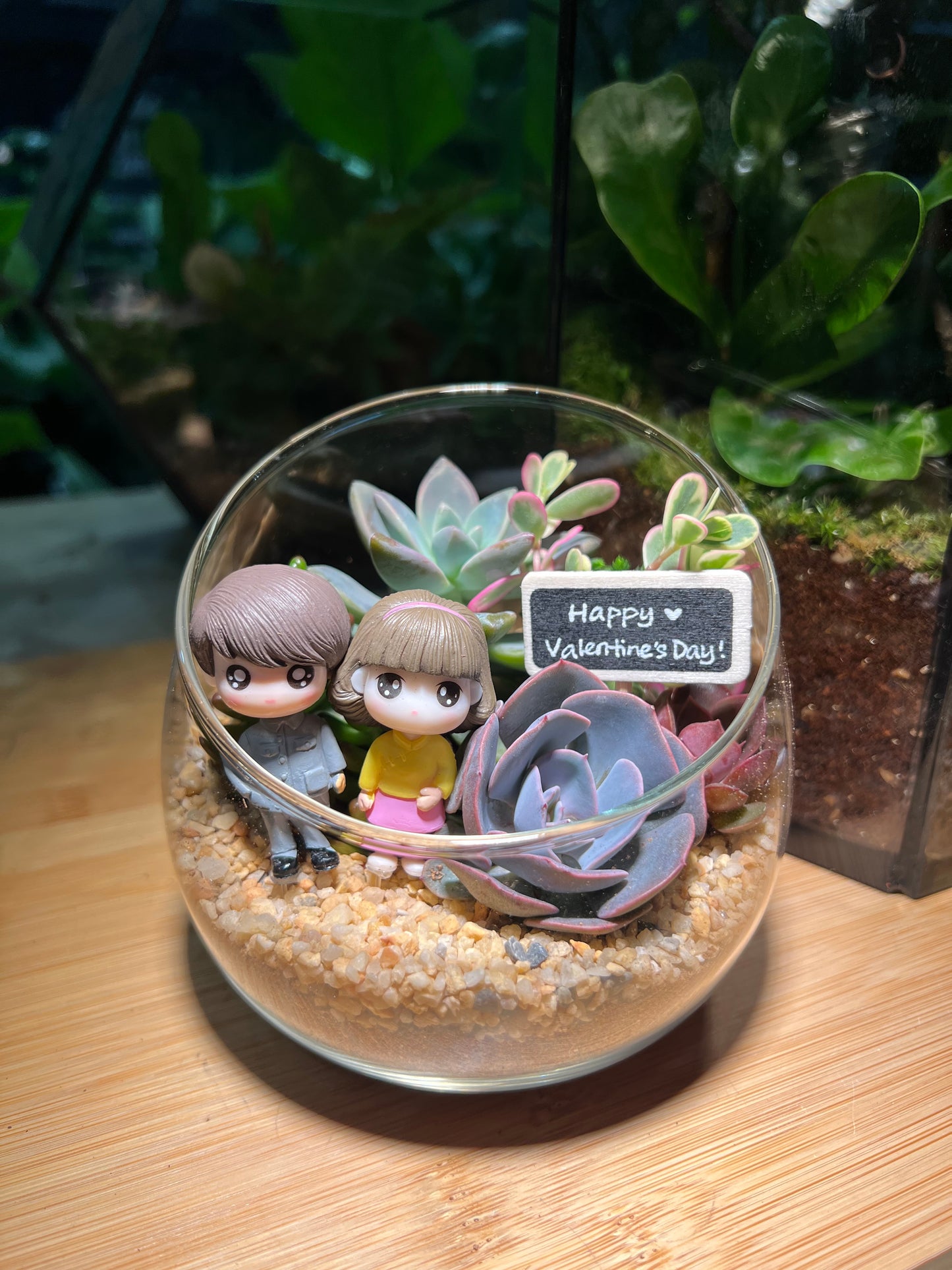 Valentine Gift - Succulent Terrarium in Slanted Glass (L)
