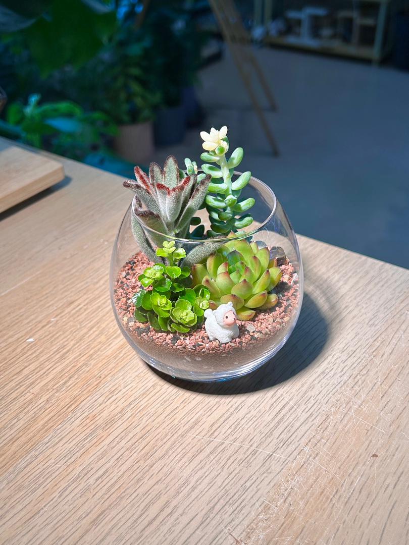 Succulent Terrarium in Crystal Glass