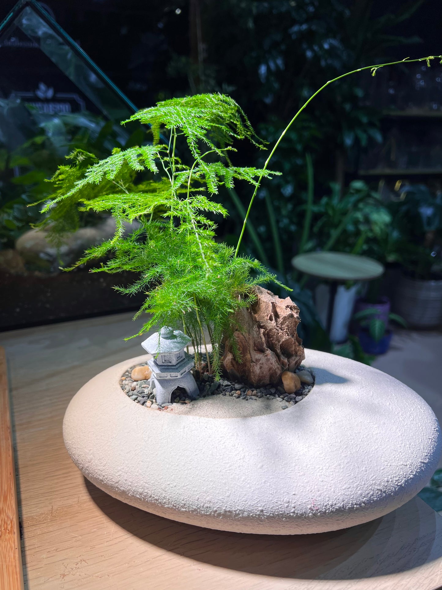 Asparagus Fern in White Stone Faux Pot