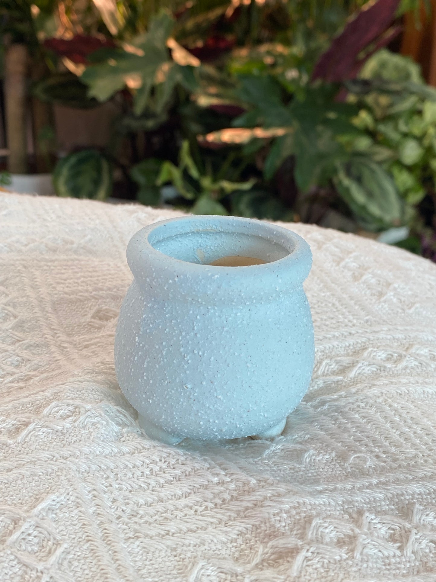 Pastel Petal Matte Claypot