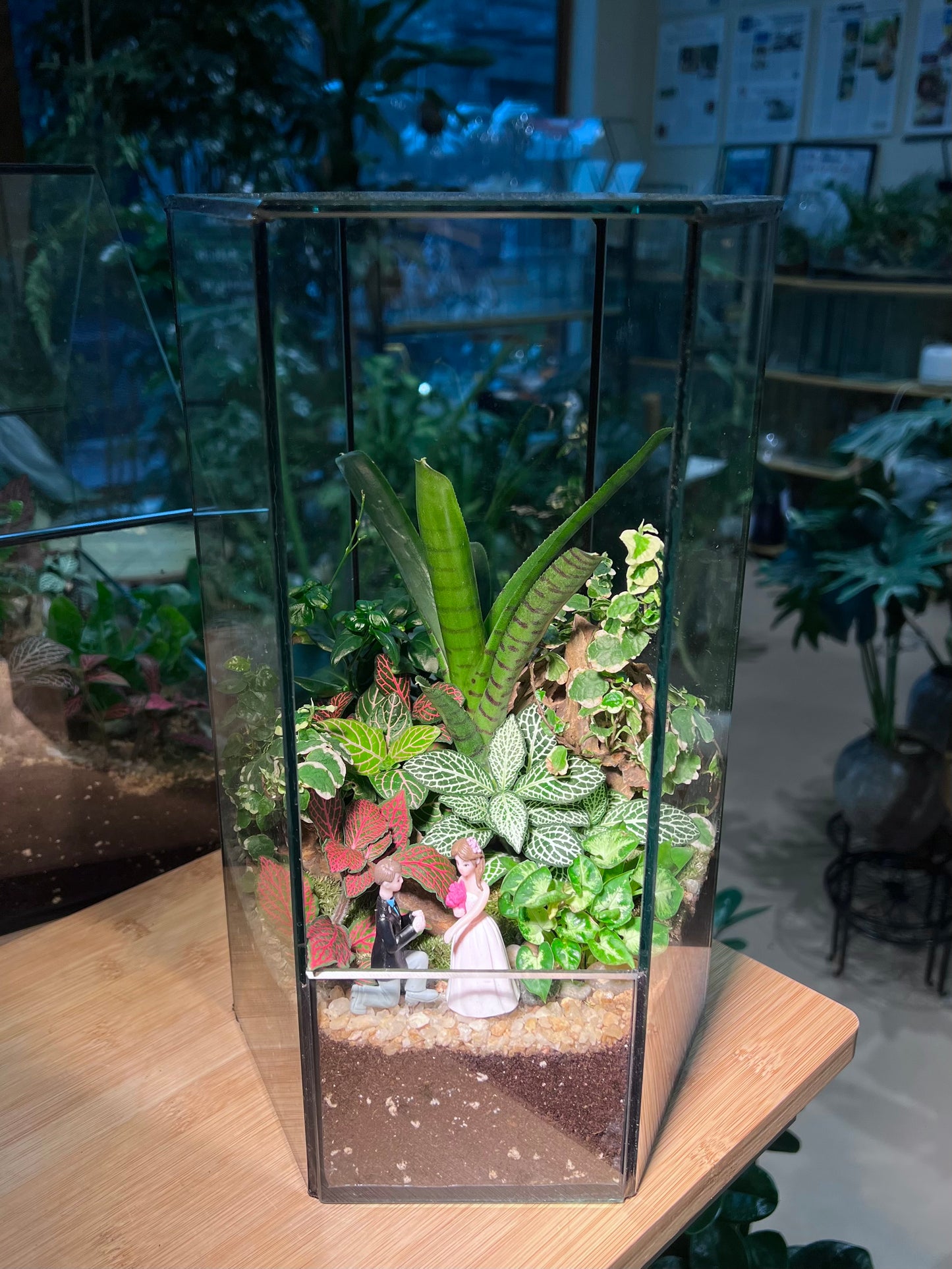 Fittonia, Ficus Pumila and Bromeliad with Moss Arrangement in “Will You Marry Me” Hexagonal Tall Terrarium