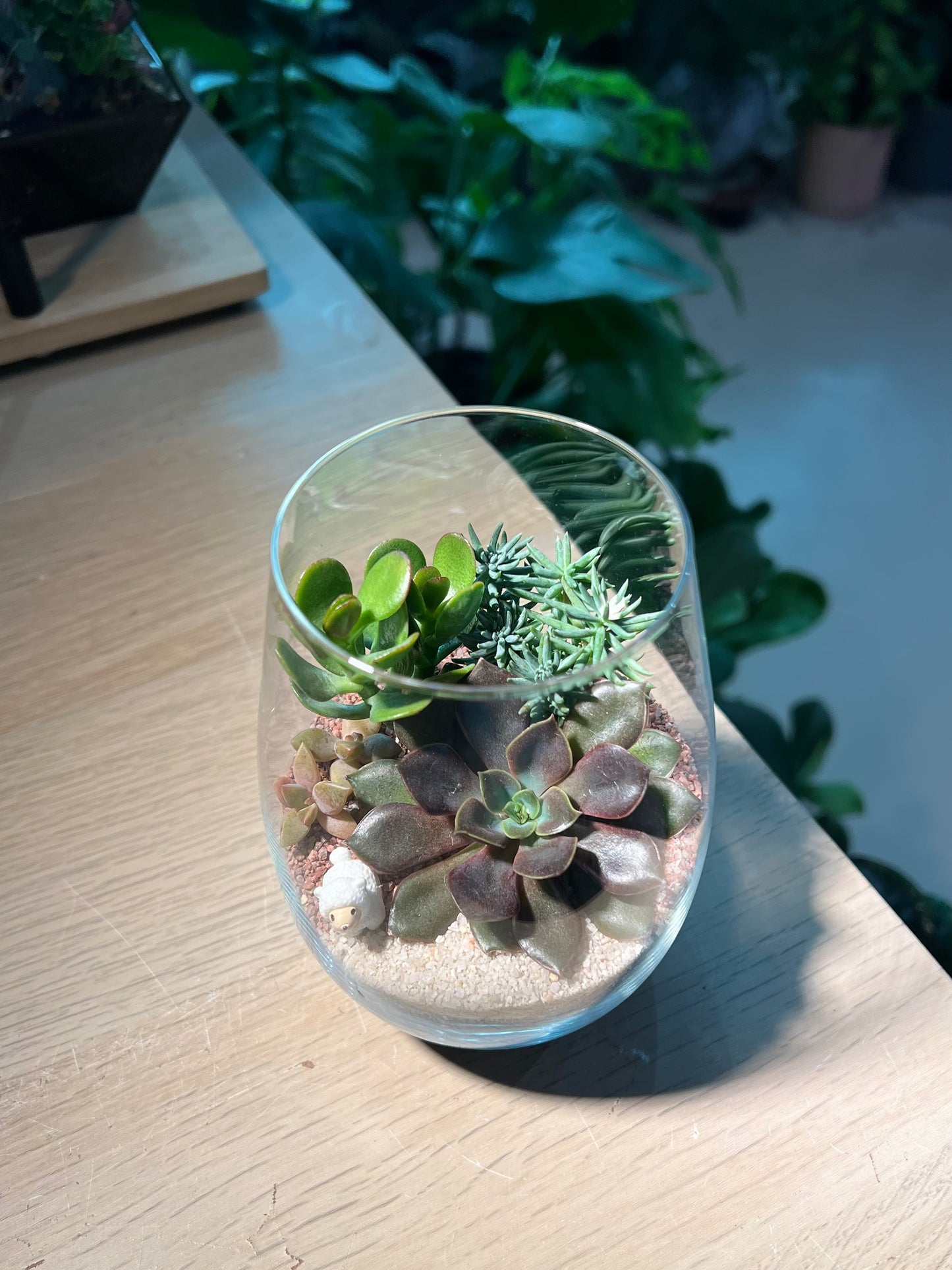 Succulent Terrarium in Tall Glass