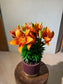 Asiatic Lily (百合花) in Dark Red Ceramic Pot