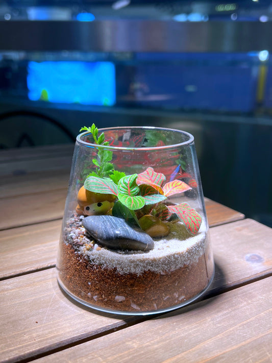 Fittonia & Fern Arrangement with Labubu Figurine in Fuji Glass Terrarium