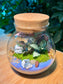 Indoor Plant with bunny in Glass Terrarium 🐰