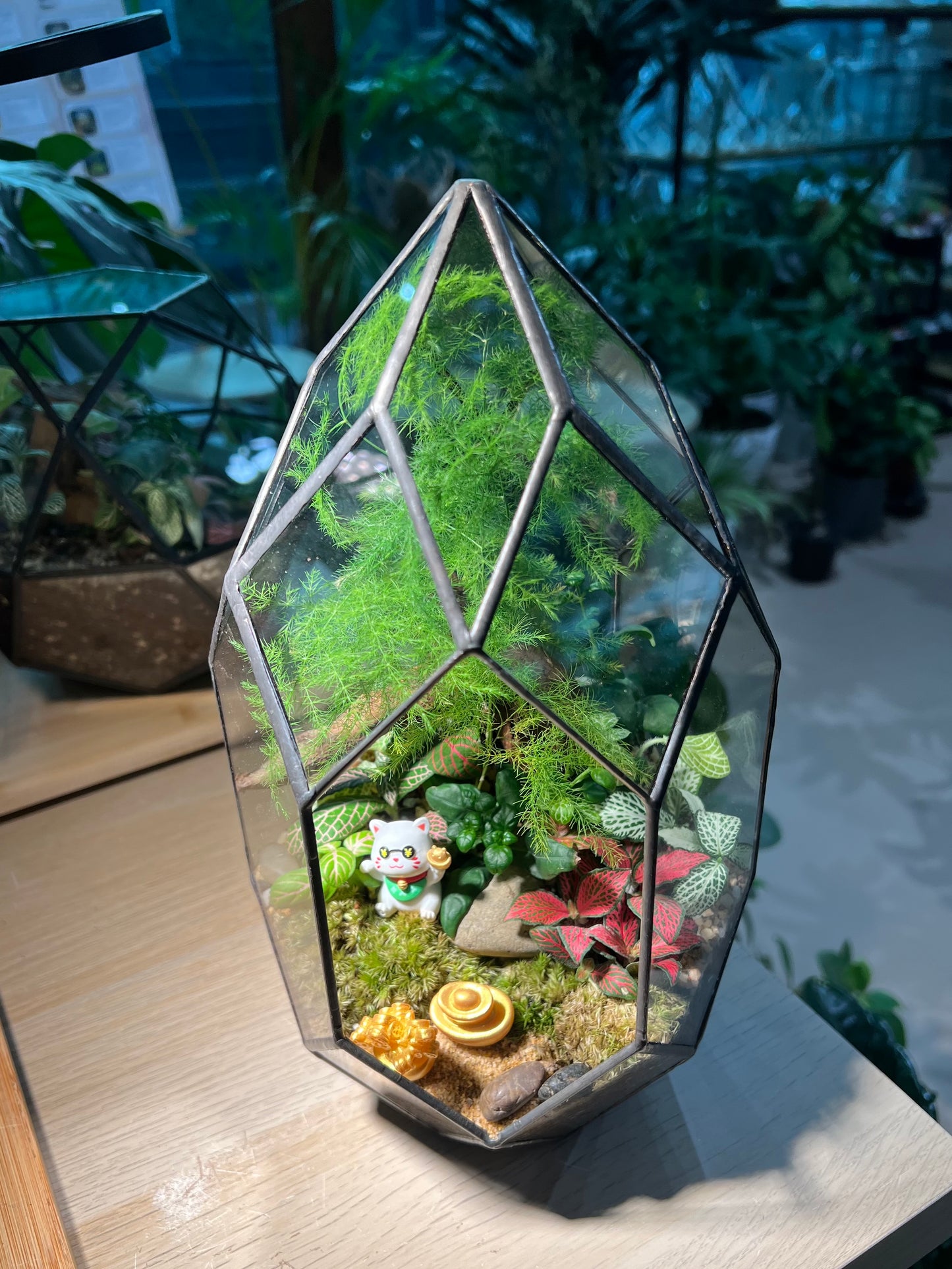Fittonia, Asparagus Fern with Moss (Indoor Plant) Arrangement in Polygonal Bullet Glass Terrarium