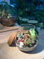 Fittonia (Indoor Plant) Arrangement in Round Covered Glass Terrarium (M)