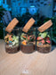 Door Gift - Indoor Plant Terrarium (网纹草) Fittonia in Cylindrical Glass (L) with Cork Lid (10pcs/set)