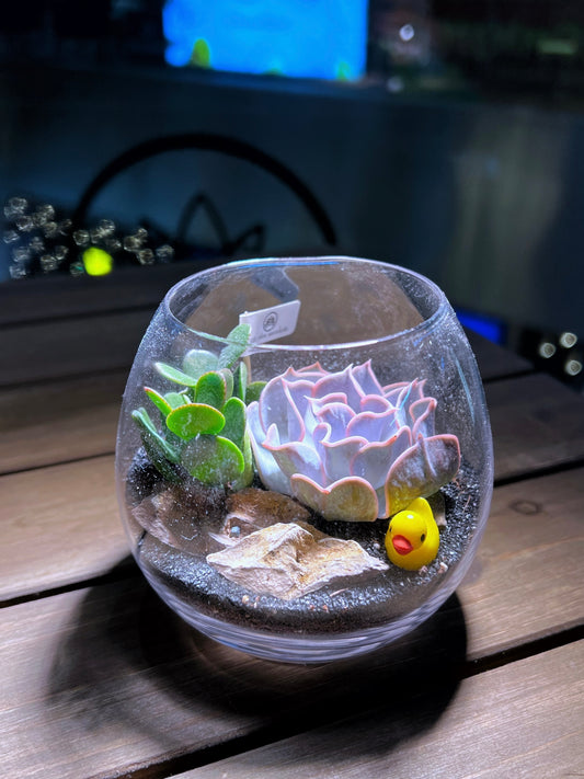 Succulent Arrangement in Crystal Glass