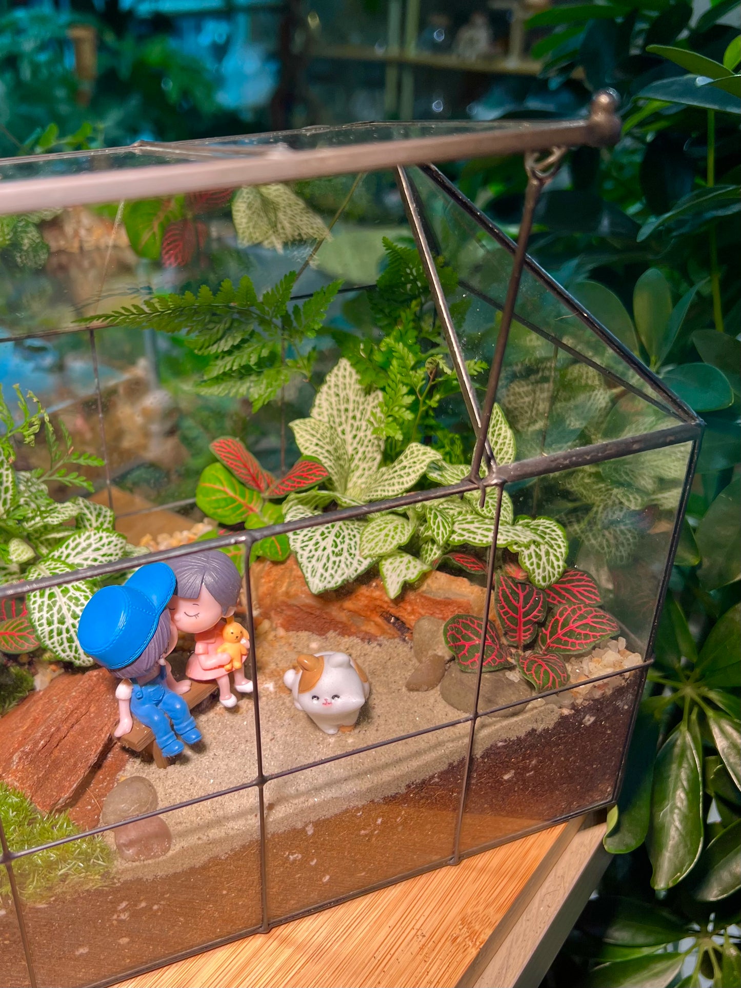 Fittonia and Fern with Moss Arrangement in Black Grid Glasshouse Terrarium (M)