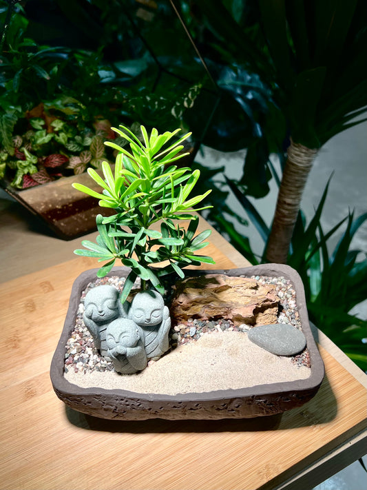 Podocarpus Macrophyllus with Buddha Figurine in Zen Concrete Pot