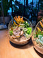 Succulent Terrarium in Slanted Glass (L)