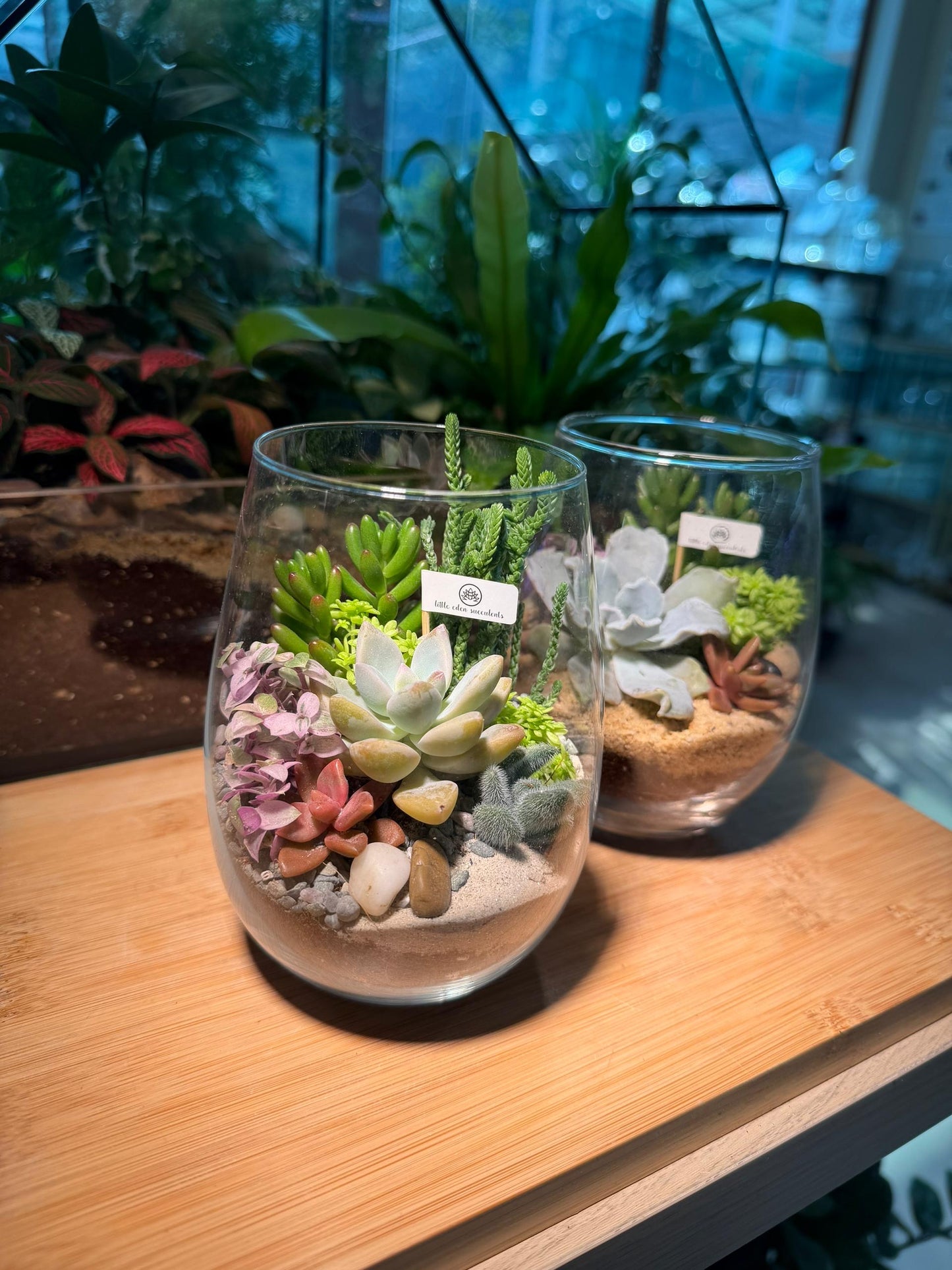 Succulent Arrangement in Tall Glass Terrarium