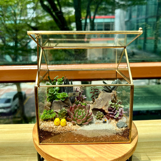 Succulent Terrarium in Golden Frame Designer Terrarium