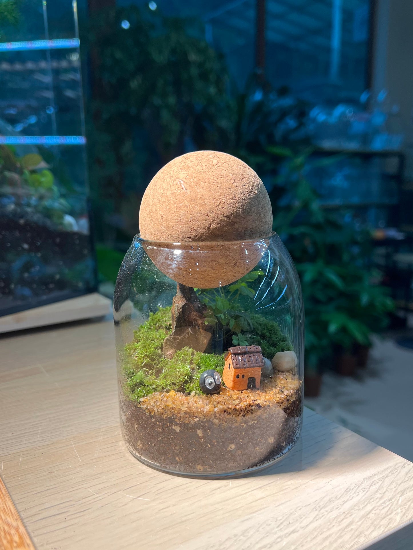 Moss Arrangement in Cylindrical Glass with Cork Ball Terrarium (S)