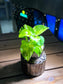 Golden Pothos in Transparent Water Based Glass