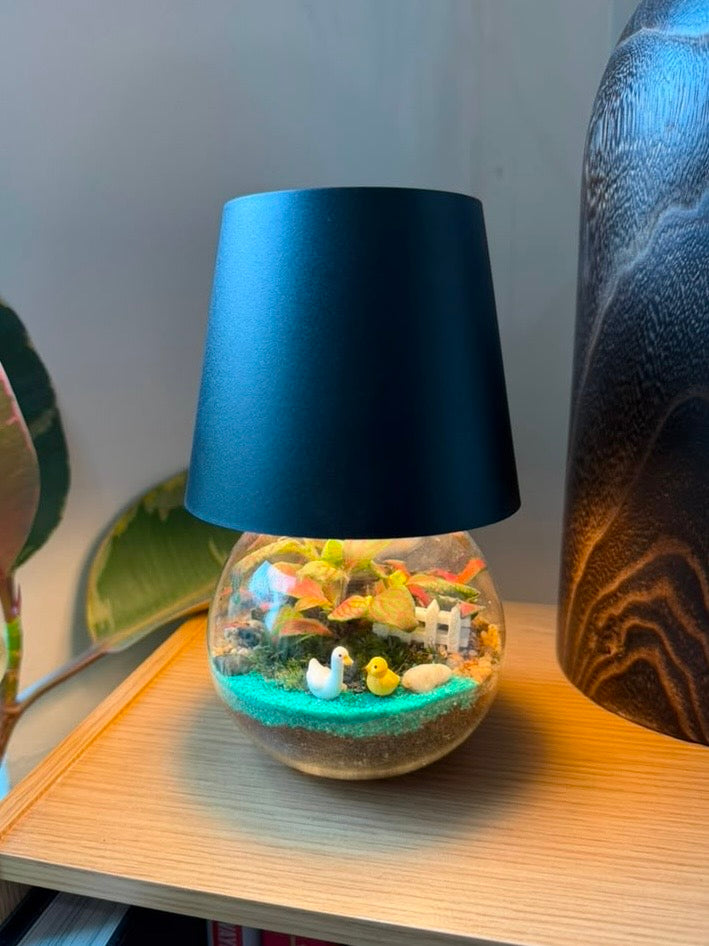 LES Table Lamp with Indoor Plant Terrarium in Round Covered Glass