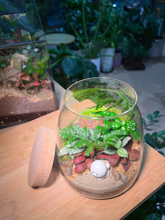 Fittonia, Fern and Bubble Plant with Moss Arrangement in Water Drop Glass with Lid (XL)
