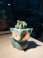 Echinopsis Cactus in Fox Pot