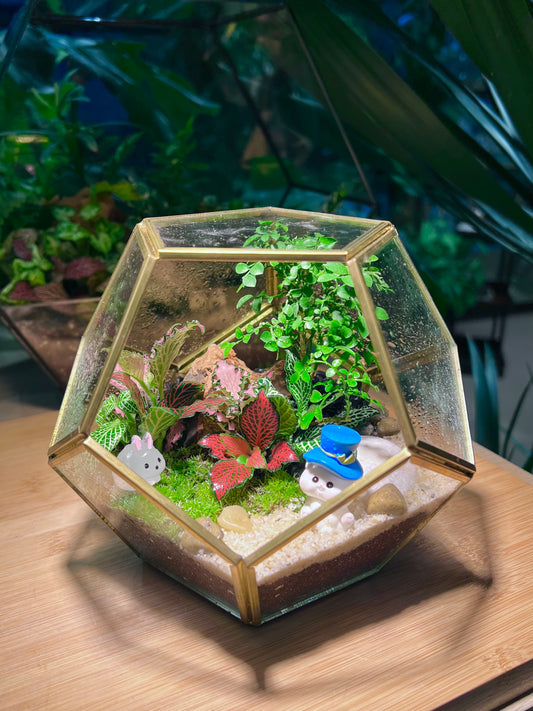 Fittonia and Bonsai with Moss Arrangement in Golden Frame Nonagon Glass (M)