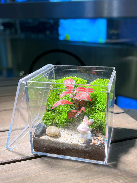 Moss Terrarium Workshop