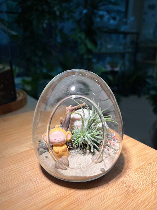 Airplant in Eggette Glass with Teletubbies Figurine (S)
