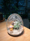 Airplant in Eggette Glass with Teletubbies Figurine (S)