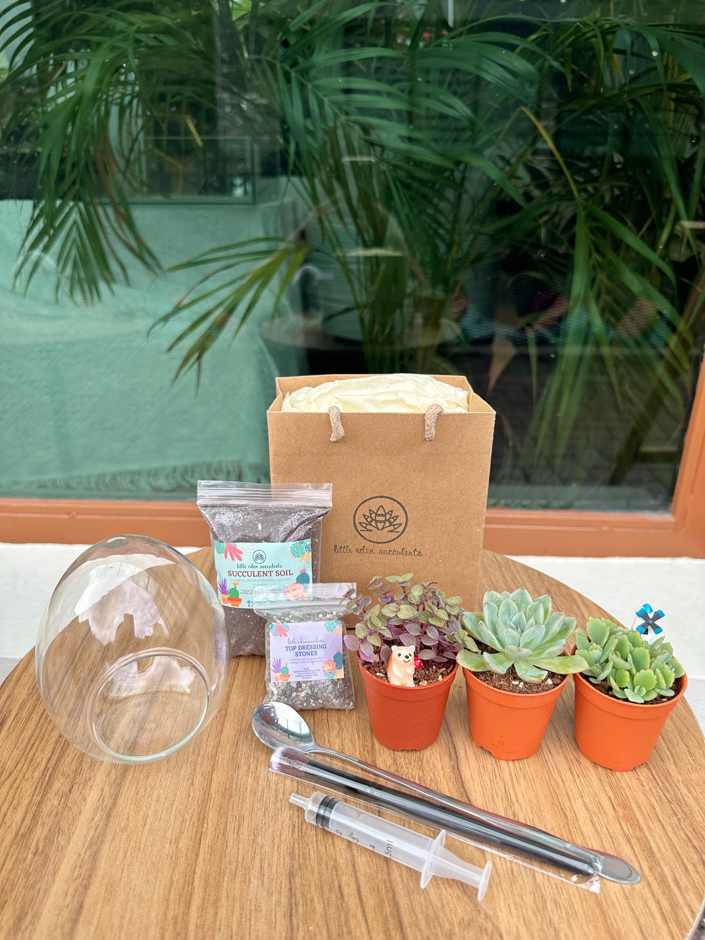 Eggette Glass Succulent Terrarium (S) DIY Set