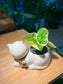 Pothos Njoy in White Cat Ceramic Pot