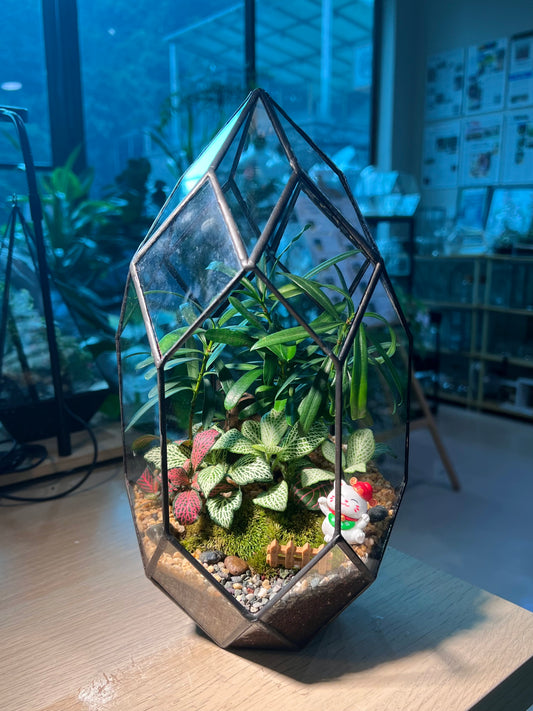 Indoor Plant Arrangement in Black Frame Polygonal Bullet Glass